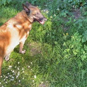 Meet your Posher, Nina